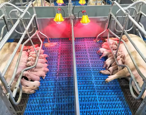 Высокопрочные стекловолокнистые решетки для пола, формованные решетки из ФРП для свиней, куриных овец